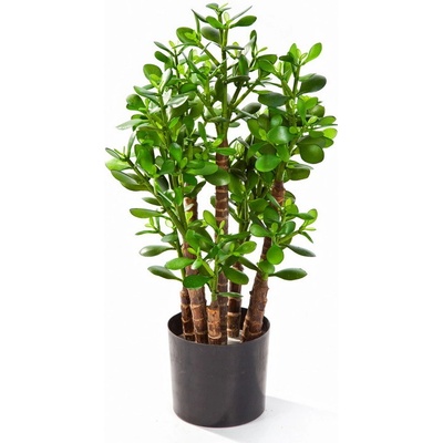 Luxusní umělý strom CRASSULA OVATA, 60 cm