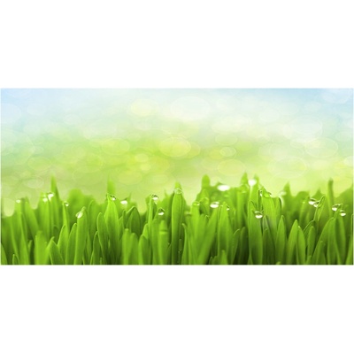 Foto obraz sklenený horizontálny tráva 100x50 cm