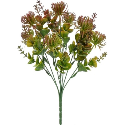 ZÁPICH MALÁ PROTEA HNEDÁ 30CM
