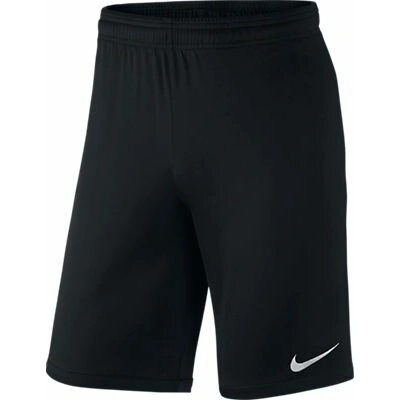 Nike Academy LNGR Knit Short 2