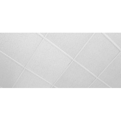 ARBITON Pvc пано за растерен таван БЯЛ ЛАК 600/600 мм (p60.600.pbl)