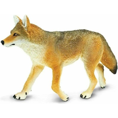 Safari Kojot