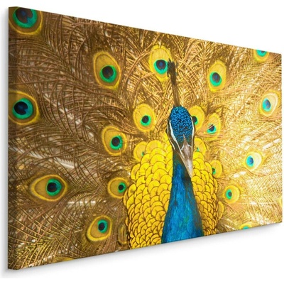 MyBestHome BOX Plátno Krásný Barevný Páv Varianta: 70x50