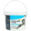 Hyalgel Horse Active 1500 g