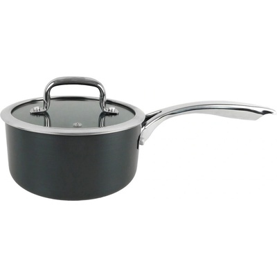 PROHOME Pánev s poklicí 16 cm