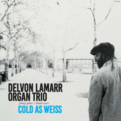Delvon Lamarr Organ Trio: Cold As Weiss - Red LP