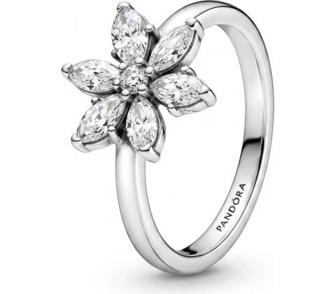 Pandora 193000C02