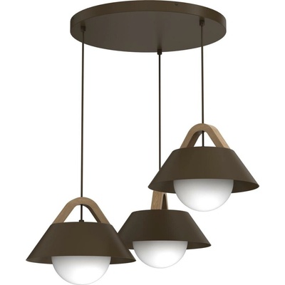Luminex 4211