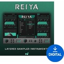 New Nation Reiya - Layered Sampled Instruments
