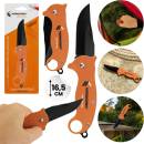 Karambit Vergionic