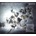 FUJAK / CHADIMA: XAFOO CD