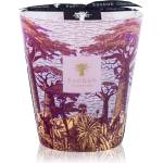 Baobab Collection Sacred Trees Massasso ароматна свещ 1000 гр