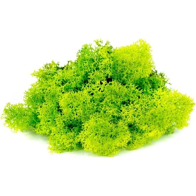 Verdissimo Stabilizovaný lišejník Island 0,5 kg (0,0625 m2), středně zelená