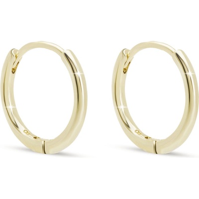 Biju Jemné pozlacené kruhové náušnice 1003841