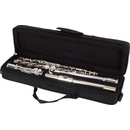Bacio Instruments BFL-100S