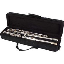 Bacio Instruments BFL-100S