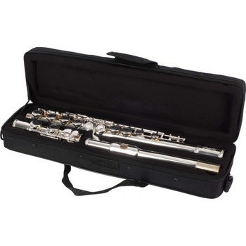 Bacio Instruments BFL-100S