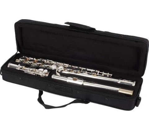 Bacio Instruments BFL-100S