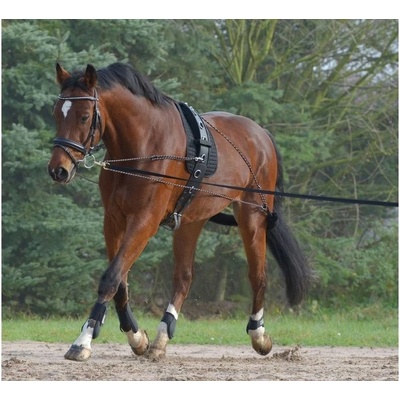 WALDHAUSEN Lonžovací postroj black