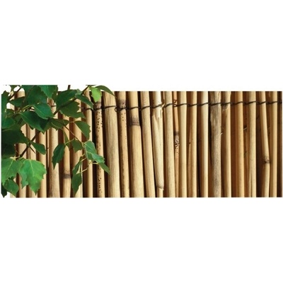 Rohož/rákos/ 2x5m/PLD/