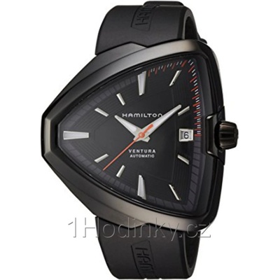 Hamilton H24585331