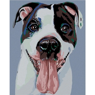 Zuty Malování podle čísel Černobílý hafan 80 x 100 cm vypnuté plátno na rám