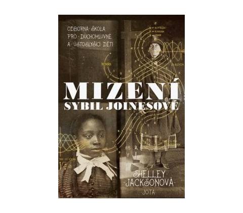 Mizení Sybil Joinesové