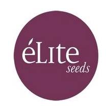 Élite Seeds La Rica CBD semena neobsahují THC 7 ks