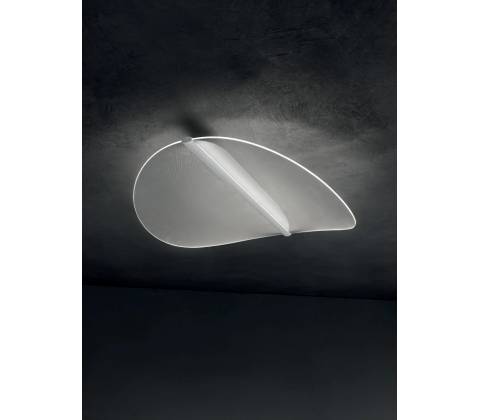 MA&DE 8167