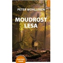 Moudrost lesa