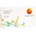 CooperVision Proclear Multifocal Xr 3 pcs