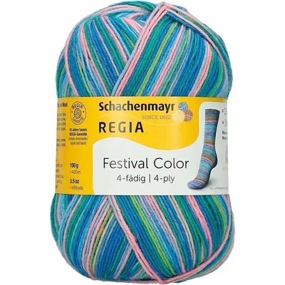 Regia 4-Ply Color 2882 roskilde color