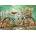 Castorland - Puzzle Beautiful Ride - 500 piese