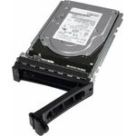 Dell 3.5 12TB (161-BCJX)