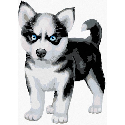 Zuty Malování podle číselModrooký husky 80 x 100 cm bez rámu a bez vypnutí plátna 8596530014348