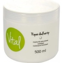 Vlasová regenerácia Stapiz Vital Repair Dual Hairtip Mask 60s 500 ml