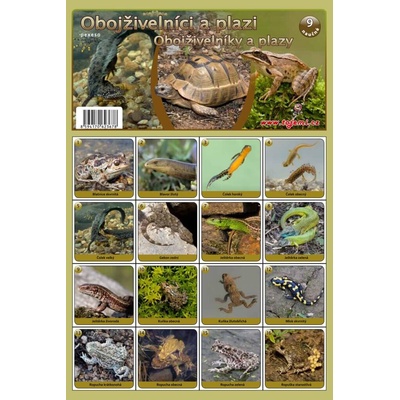 Pexeso Obojživelníci a plazi 3678