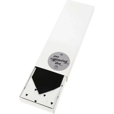 Avantgard Dárkový set Pro výjimečný den Kravata s kapesníčkem v papírové krabičce 919-1222329 černá