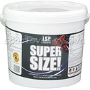 Gainery LSP nutrition Super Size 6000 g