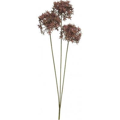 Česnek okrasný - Allium (divoký) - Wild allium spray hnědý V63 cm