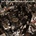 Jamie.T - Panic Prevention CD