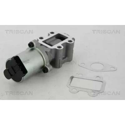 TRISCAN AGR ventil TRI 8813 13102