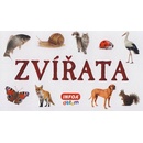 Zvířata