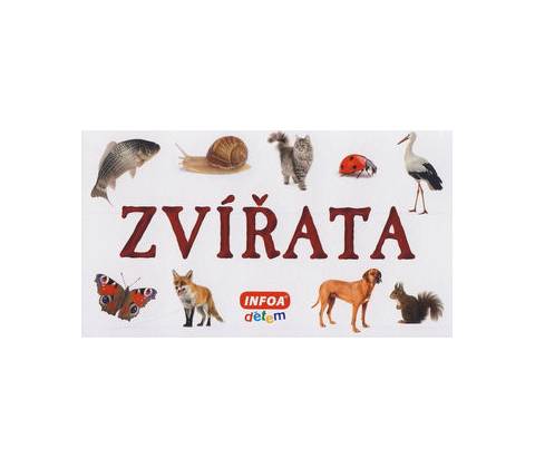 Zvířata