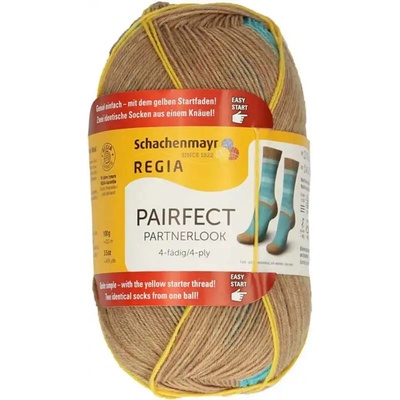 Regia 4-Ply Pairfect 7131 Erik color