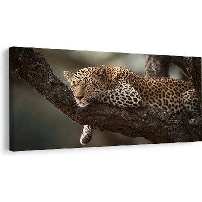 Obraz divoká elegance v přírodě - 80x40