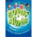 Super Minds 1 Flashcards