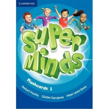 Super Minds 1 Flashcards