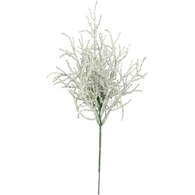 Svatolina šedá V22 cm
