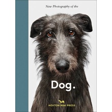 New Photography of the Dog.